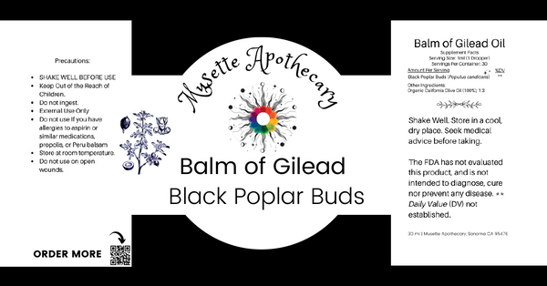 Balm of Gilead